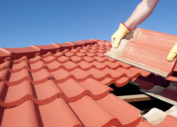 About Alanson MI Roofers